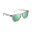 Nectar Chucktown Transparent Grey Frames with Green Lens
